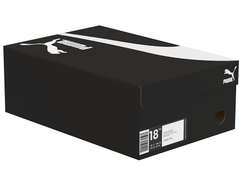 Puma Shoe Box 02 Modello 3D