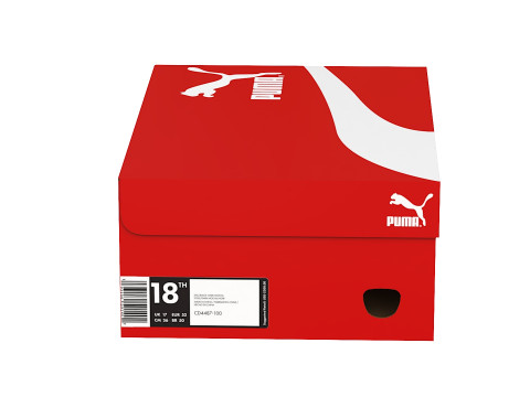 Puma Shoe Box 02 3D Model