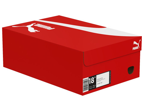 Puma Shoe Box 02 3D Model