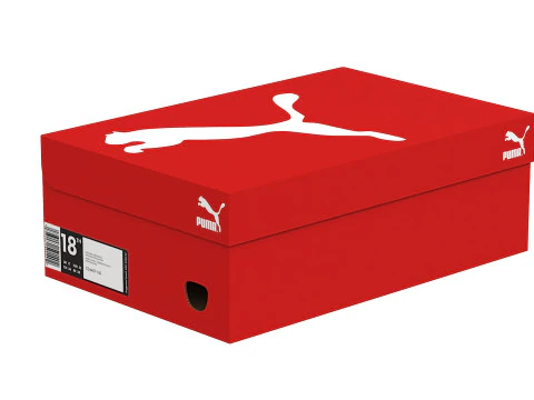 Puma Shoe Box 04 3D Model