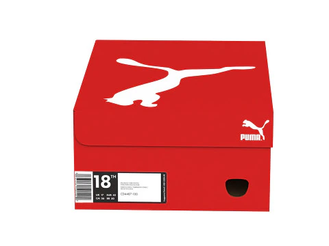 Puma Shoe Box 04 3D Model