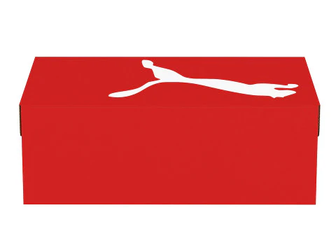 Puma Shoe Box 04 3D Model