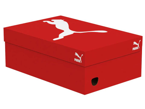 Puma Shoe Box 04 3D Model