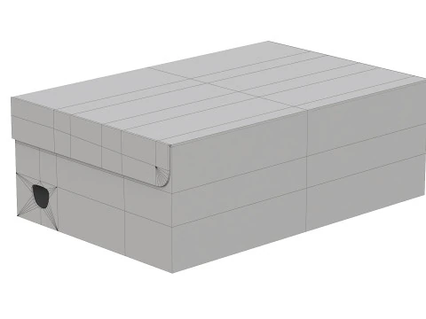 Puma Shoe Box 04 3D Model