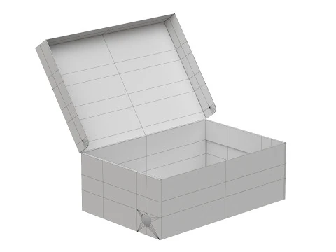 Puma Shoe Box 04 3D Model