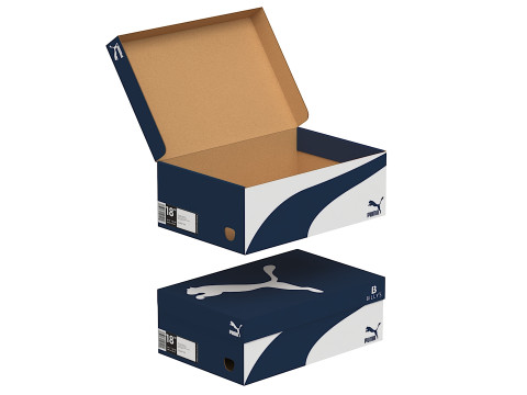 Puma Shoe Box 05 3D Model