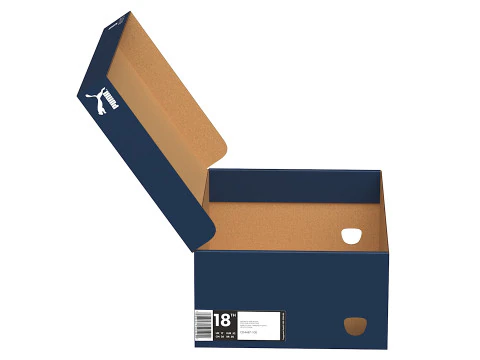 Puma Shoe Box 05 3D Model