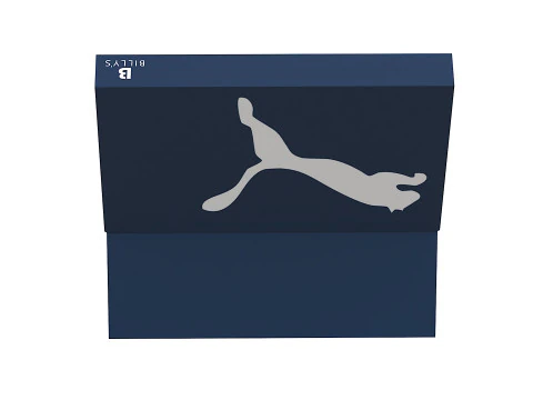 Puma Shoe Box 05 3D Model