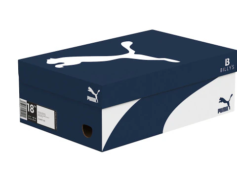 Puma Shoe Box 05 3D Model
