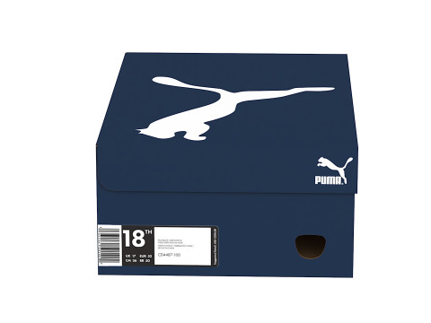 Puma Shoe Box 05 Modello 3D