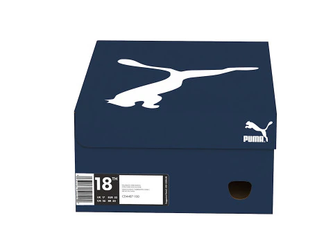 Puma Shoe Box 05 3D Model