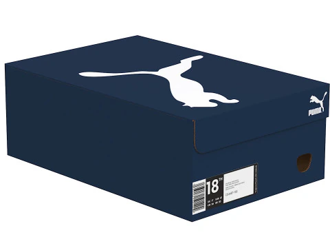 Puma Shoe Box 05 3D Model