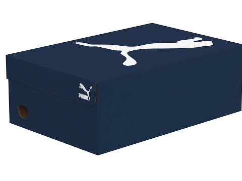 Puma Shoe Box 05 3D Model