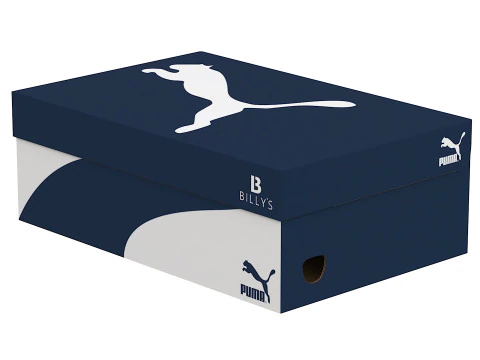 Puma Shoe Box 05 3D Model