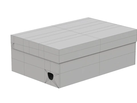 Puma Shoe Box 05 3D Model