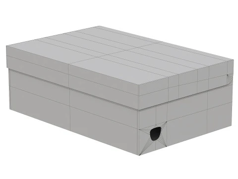 Puma Shoe Box 05 3D Model
