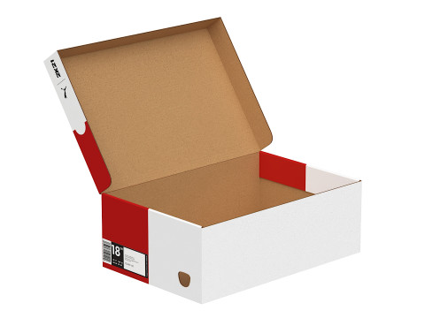 Puma Shoe Box 06 3D 模型