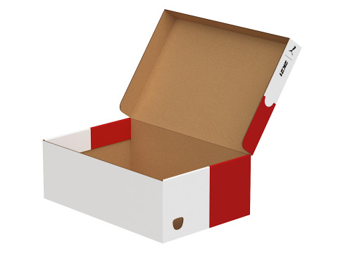 Puma Shoe Box 06 3D 模型