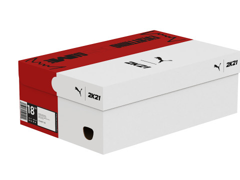 Puma Shoe Box 06 3D 模型