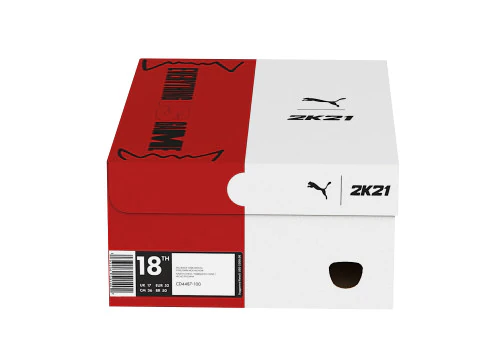 Puma Shoe Box 06 3D Model