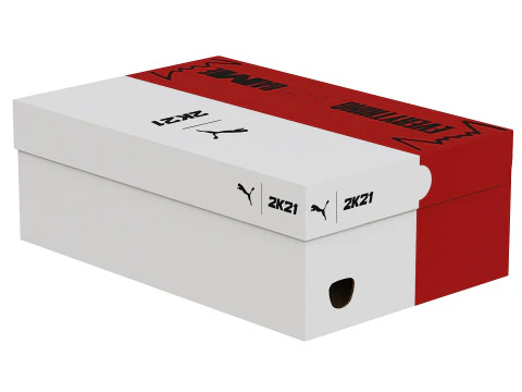 Puma Shoe Box 06 3D Model