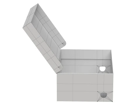 Puma Shoe Box 06 3D Model