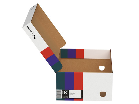 Puma Shoe Box 07 Model 3D