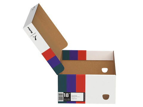 Puma Shoe Box 07 3D Model