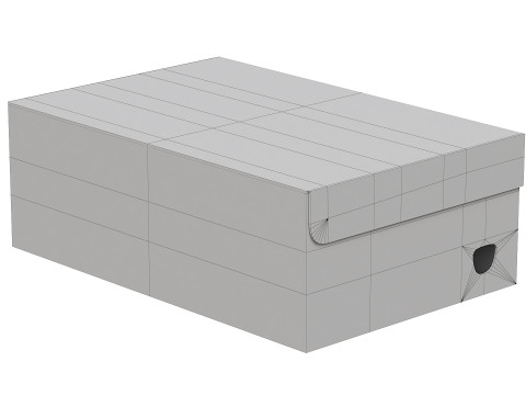 Puma Shoe Box 07 Model 3D