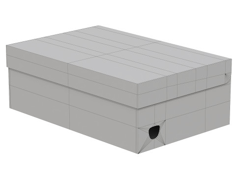 Puma Shoe Box 07 Model 3D
