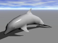 Dolphin 3D Model