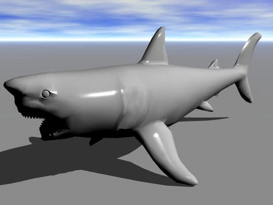 shark 3D Model .c4d .max .obj .3ds .fbx .stl .blend 