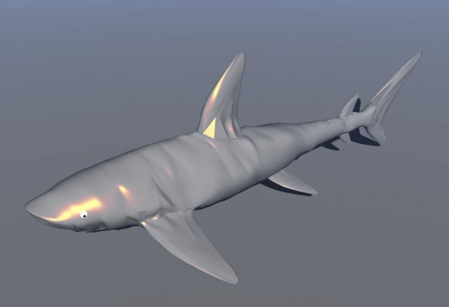 shark 3Dモデル .c4d .max .obj .3ds .fbx .stl .blend 