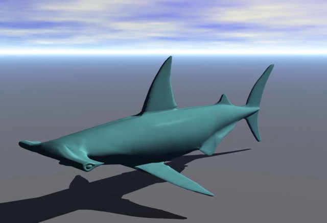shark02 Model 3D .c4d .max .obj .3ds .fbx .stl .blend 