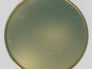 Simple gold coin Modèle 3D