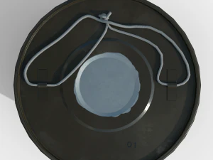 Smoke bomb DM-11 3D Model