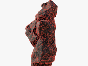 Rock Modelo 3D