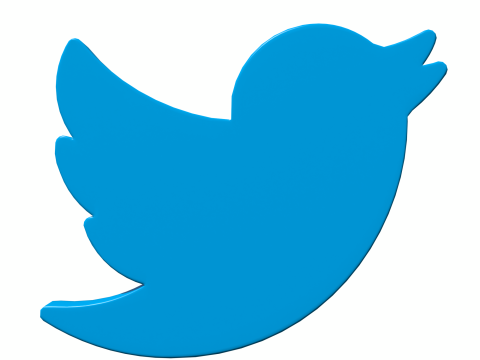 Twitter bird symbol 3D Model