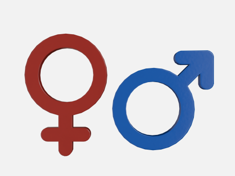 Genders symbols Glossy Plastic 3D 모델