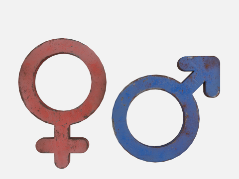 Genders symbols Old Metal 3D 모델