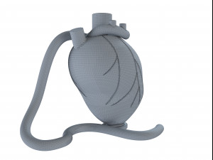 heart hookah 3D 모델