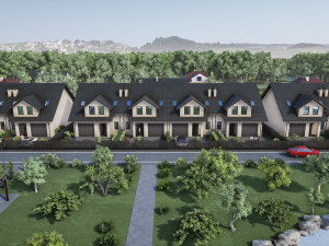 Suburban houses 4 types 3D Model