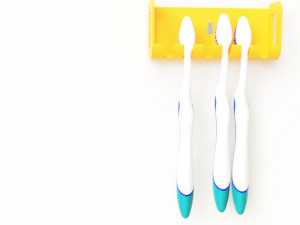 Toothbrush holder 3D 打印模型