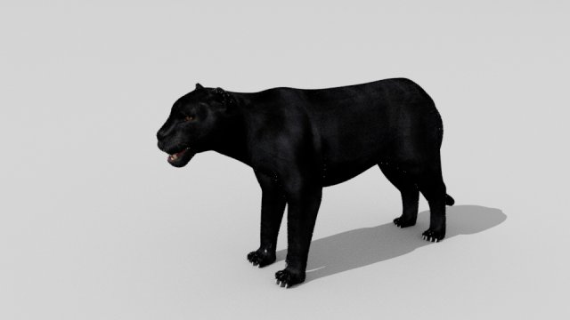 phanter Modelo 3D .c4d .max .obj .3ds .fbx .stl .blend 