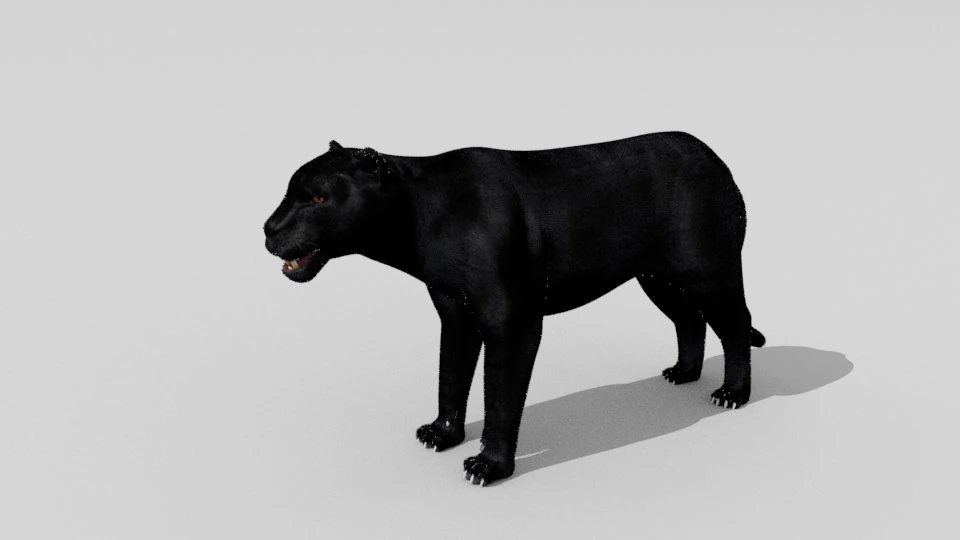 phanter 3D Model .c4d .max .obj .3ds .fbx .stl .blend 