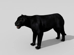 Fantasma Modelo 3D