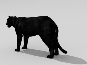 phanter Modelo 3D