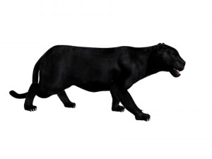 phanter Modelo 3D