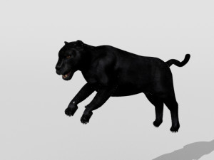 phanter Modelo 3D