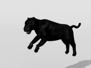 phanter 3D Model